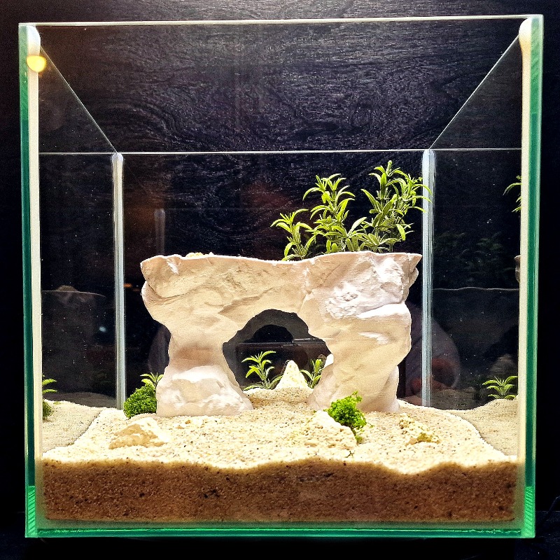3D 프린팅 수족관 식물 재배 바구니 수경 재배 지지대 - Aquarium Planted Tank Soil 리뷰 및 가격