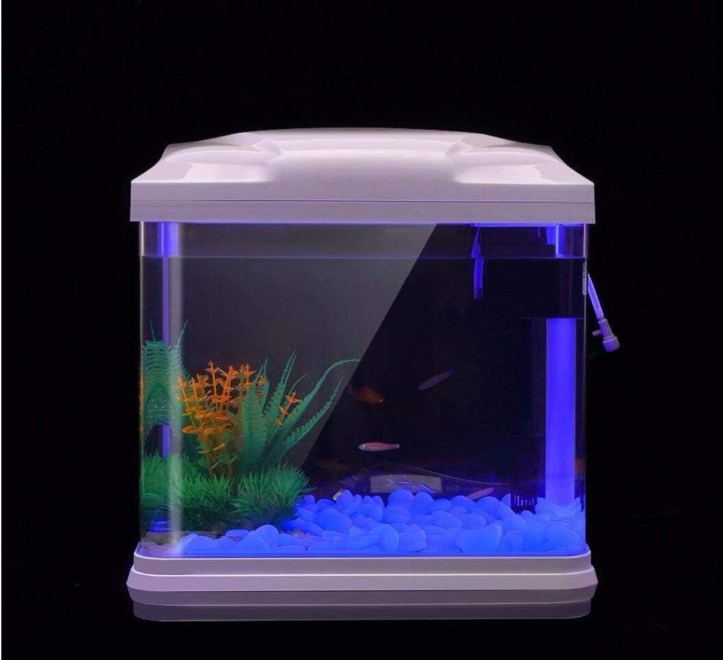 물고기 탱크 바위 정원 물고기 탱크 수족관 식물 냄비  - Aquarium Planting Ideas 리뷰 및 가격