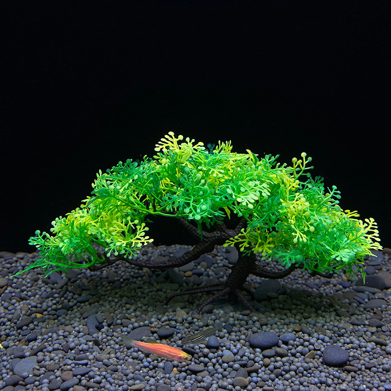 수족관 분재나무, 식물, 어항장식, 인공식물, 꽃장식, - Aquarium Plant Seeds 리뷰 및 가격