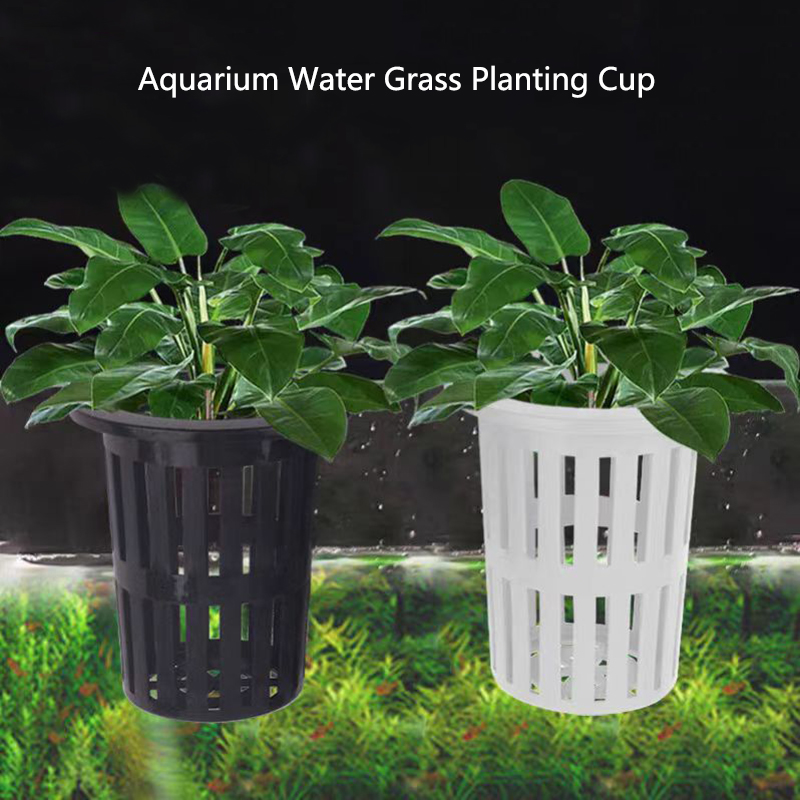1/3Pcs 수족관 식물 바구니 물고기 탱크에 대 한  - Aquarium Plant Holder 리뷰 및 가격