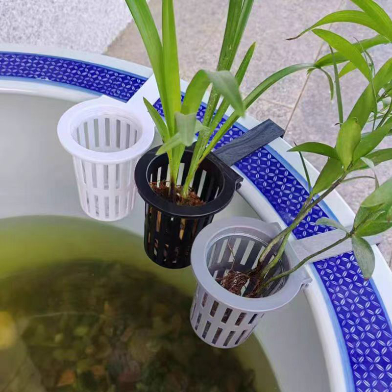 1/3Pcs 수족관 식물 바구니 물고기 탱크에 대 한  - Aquarium Plant Holder 리뷰 및 가격