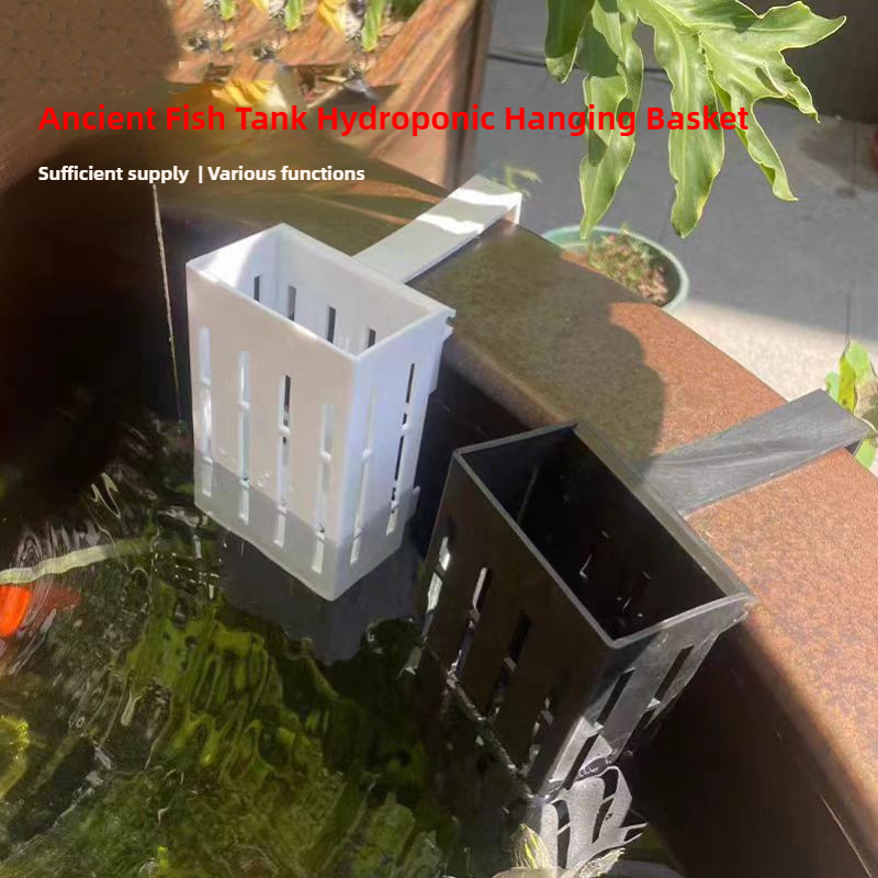 1/3Pcs 수족관 식물 바구니 물고기 탱크에 대 한  - Aquarium Plant Holder 리뷰 및 가격