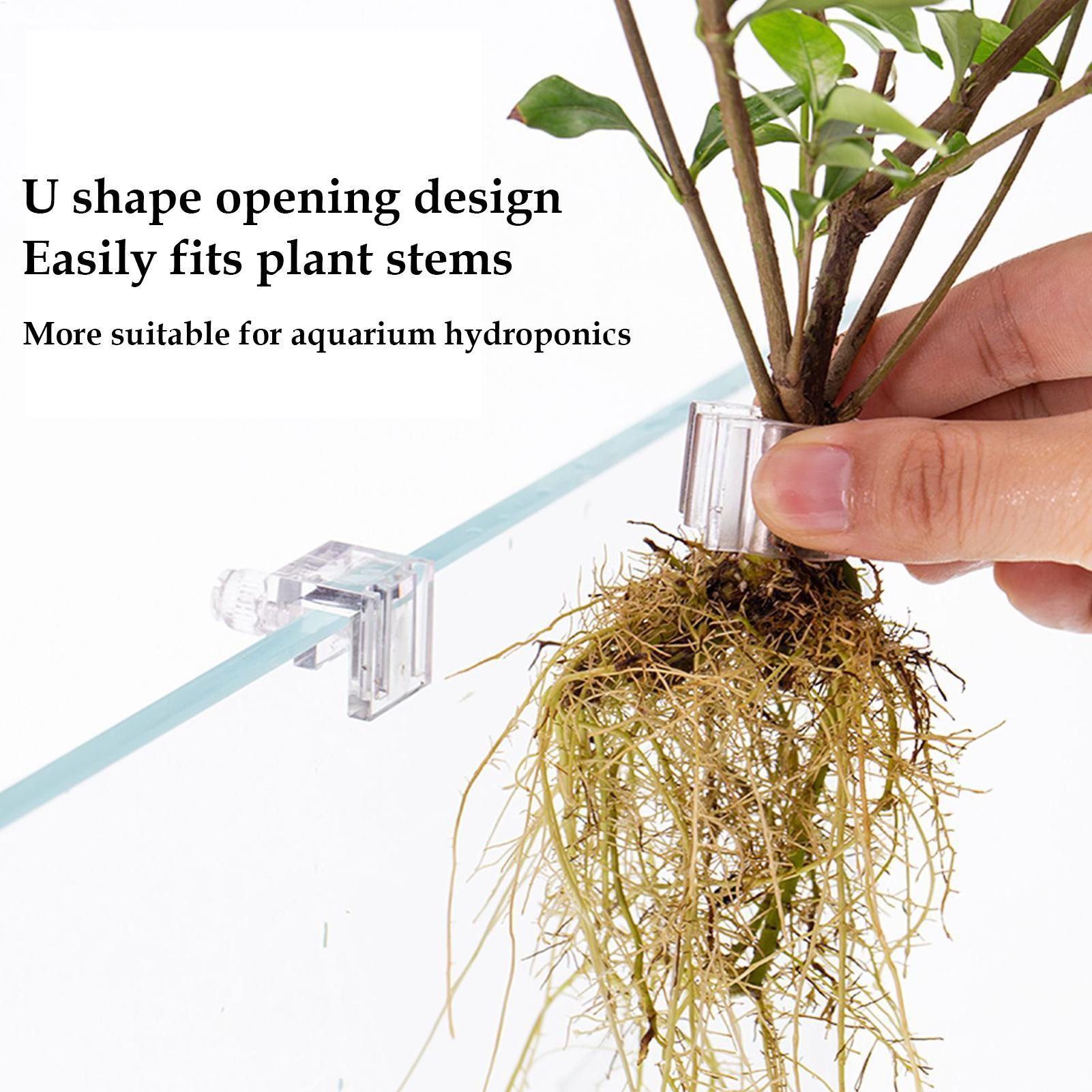 수족관 식물 바구니 투명 어항 걸이 장식 화분 수생 식 - Aquarium Plant Holder 리뷰 및 가격