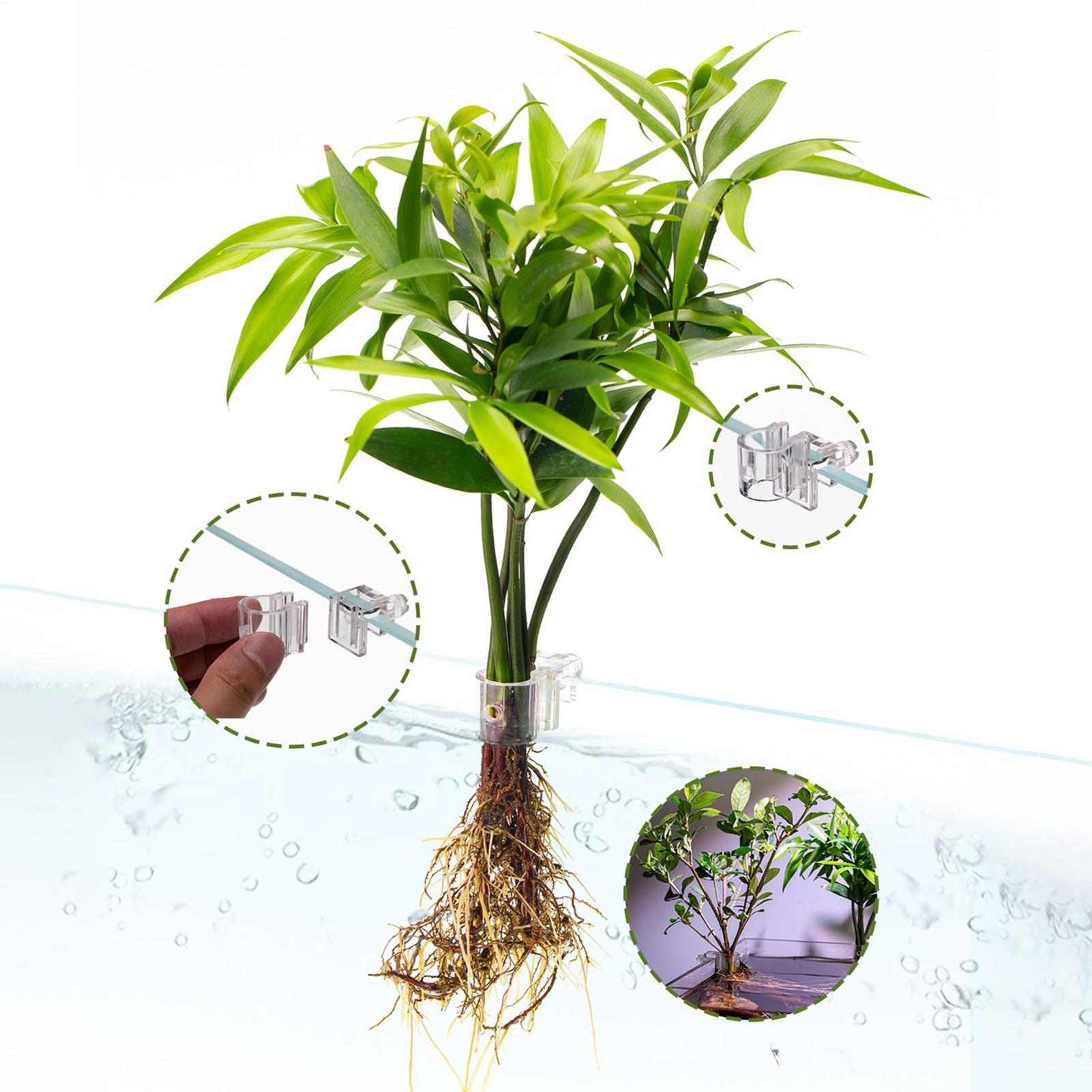 수족관 식물 바구니 투명 어항 걸이 장식 화분 수생 식 - Aquarium Plant Holder 리뷰 및 가격