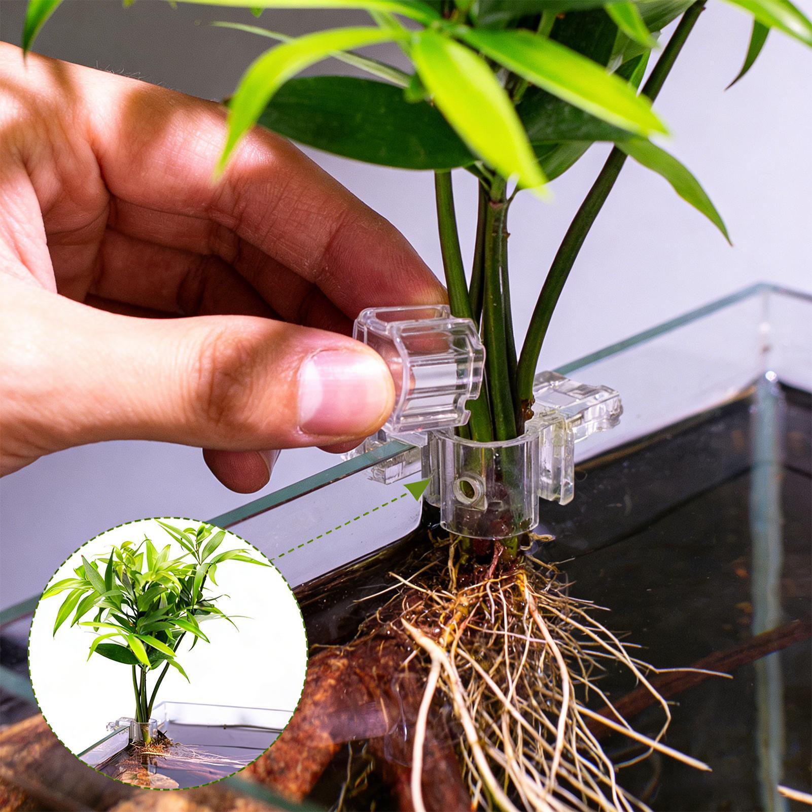 수족관 식물 바구니 투명 어항 걸이 장식 화분 수생 식 - Aquarium Plant Holder 리뷰 및 가격