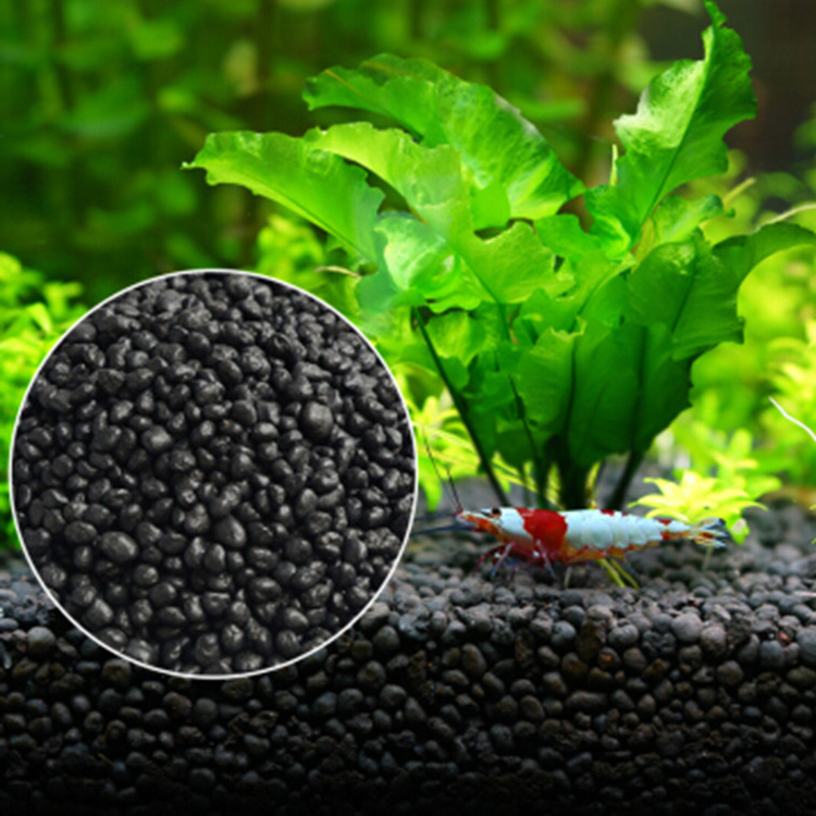수족관 식물 씨앗 토양 어항 기판 모래 토양 비료 진흙 - Tissue Culture Plant 리뷰 및 가격