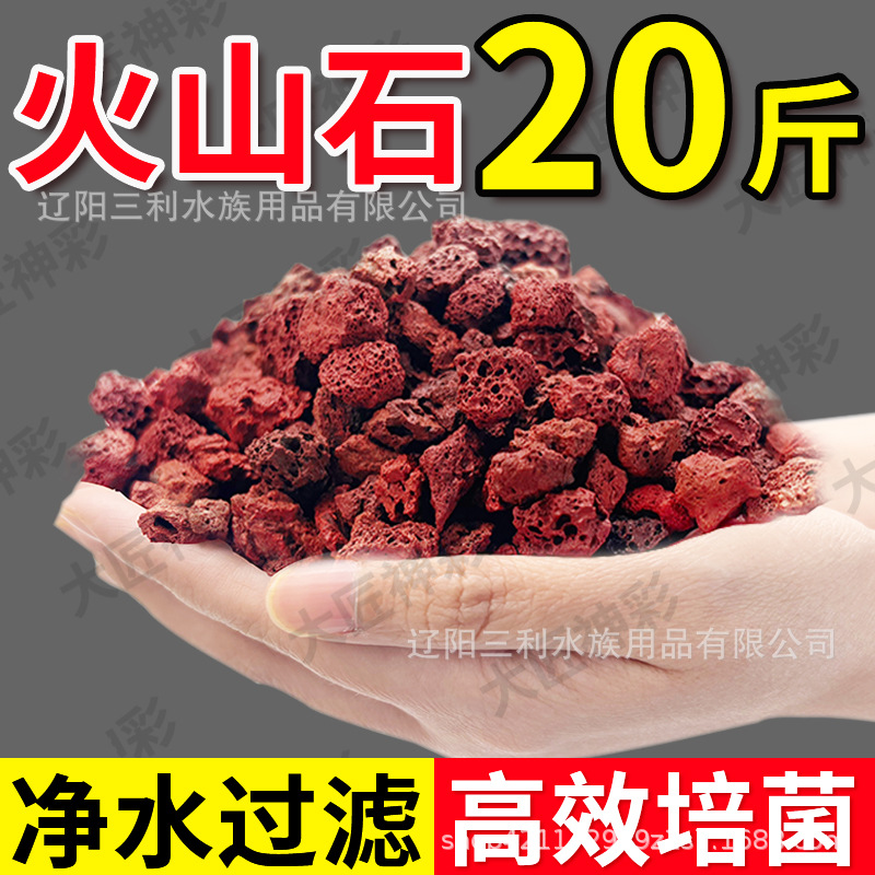 천연 다공성 적색 용암석 수족관 여과재 화산석 어항 조 - Aquarium Planted Tank Soil 리뷰 및 가격