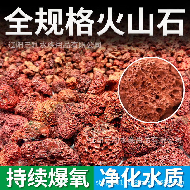 천연 다공성 적색 용암석 수족관 여과재 화산석 어항 조 - Aquarium Planted Tank Soil 리뷰 및 가격