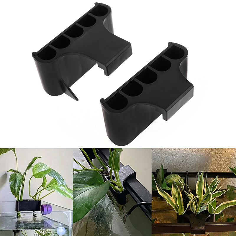 구멍이 있는 행잉 수족관 식물 거치대, 아쿠아스케이프  - Emersed Plants Aquarium 리뷰 및 가격