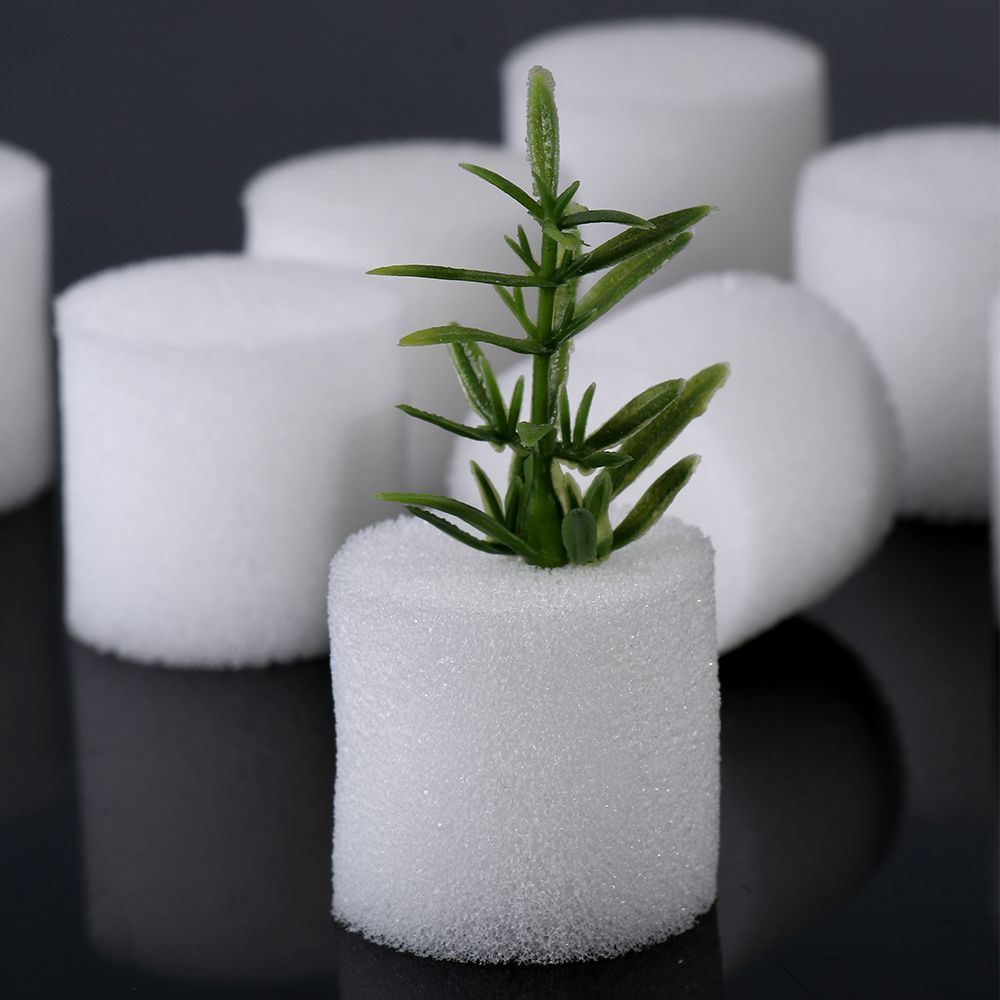 10/50pcs 내구성 정원 용품 수족관 심기 보육 스 - Aquarium Plant Seeds 리뷰 및 가격