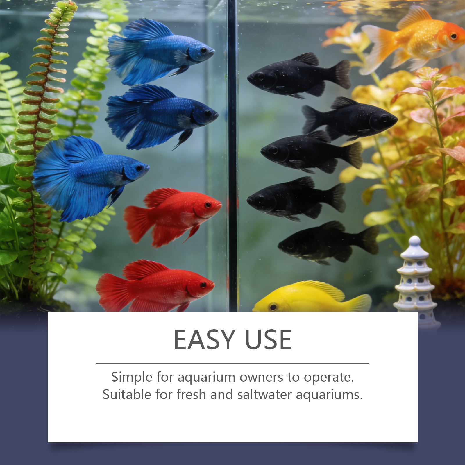 수족관용 조류 제거제, 흐린 녹색 물을 빠르게 정화,  - Planted Aquarium Algae Remover 리뷰 및 가격