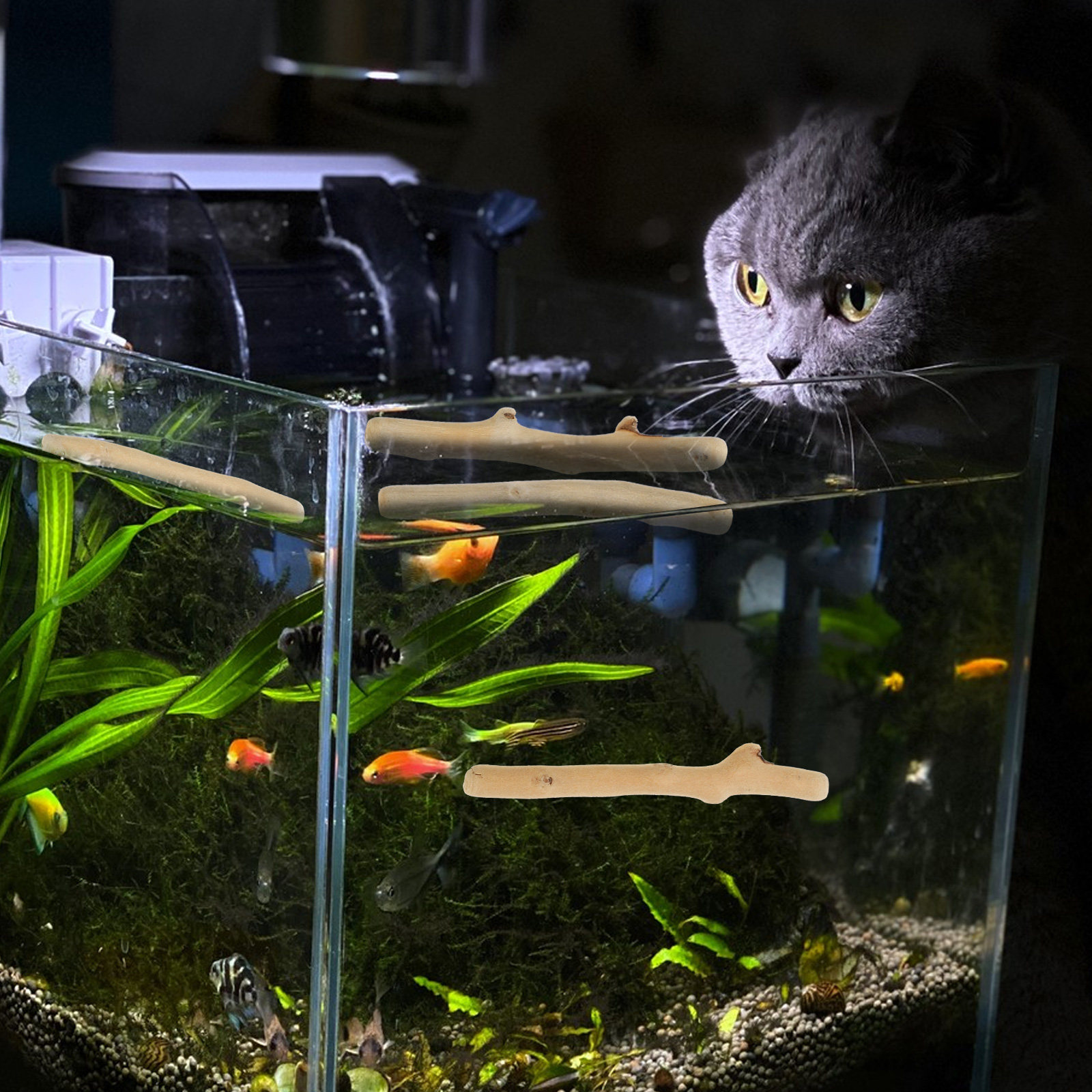 1세트 자연산 짧은 유목 장식물, 수족관 어항용, pH - Planted Aquarium Ph 리뷰 및 가격