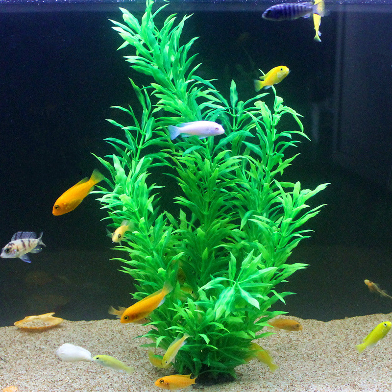 50CM 인조 어항 희귀 식물 수족관 가짜 대나무 잎  - Aquarium Planting Ideas 리뷰 및 가격