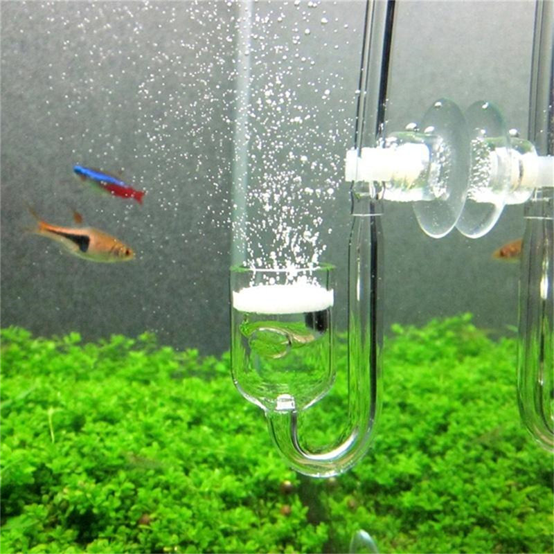 미니 Co2 디퓨저 아크릴 U자형 튜브 이산화탄소 소형 - Aquarium Planted Tank Substrate 리뷰 및 가격