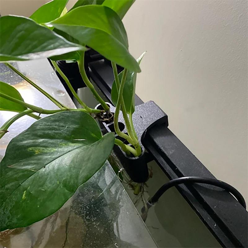 매달려 수족관 식물 홀더 Emersed 식물 Aquas - Emersed Plants Aquarium 리뷰 및 가격