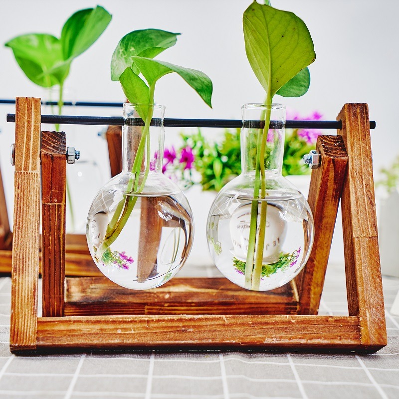 탁상 유리 화분 전파 스테이션, 수경 식물 화병, 나무 - Tissue Culture Plant 리뷰 및 가격