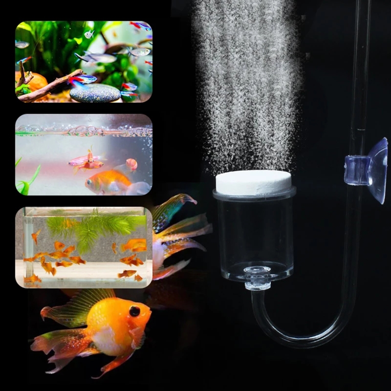 수족관 유리 탱크용 DIY CO2 디퓨저, 버블 반응기 - Aquarium Planted Tank Substrate 리뷰 및 가격