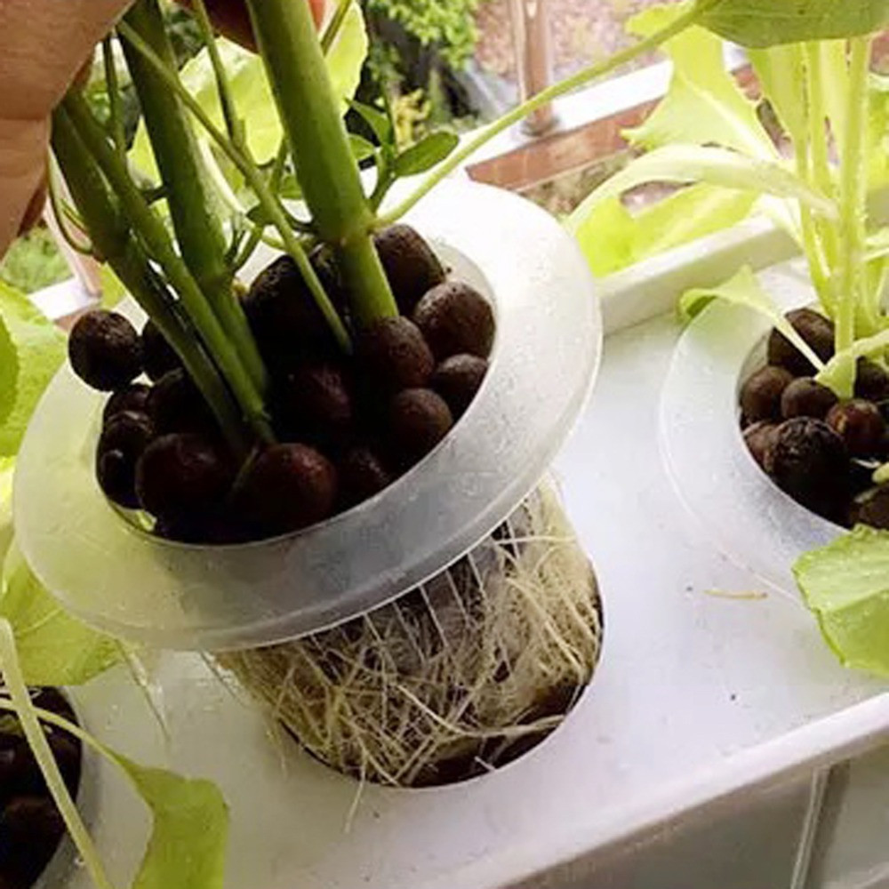 10/50개 내구성 있는 수경재배용 무토양 씨앗 트레이 - Aquarium Plant Seeds 리뷰 및 가격
