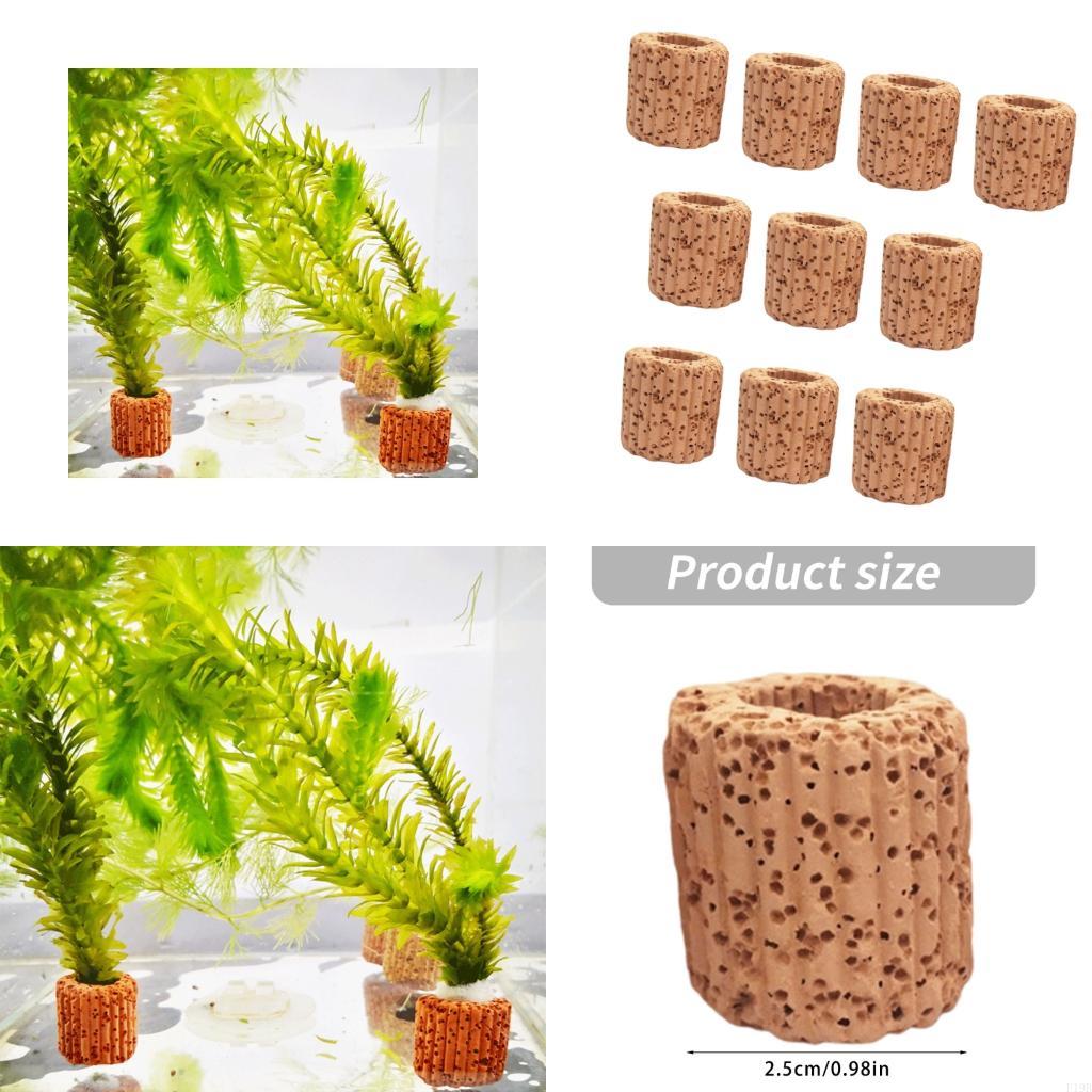 F19B 수족관 식물 홀더 어항 용 양식 식물 컵 수족 - Emersed Plants Aquarium 리뷰 및 가격