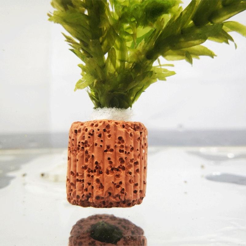 F19B 수족관 식물 홀더 어항 용 양식 식물 컵 수족 - Emersed Plants Aquarium 리뷰 및 가격
