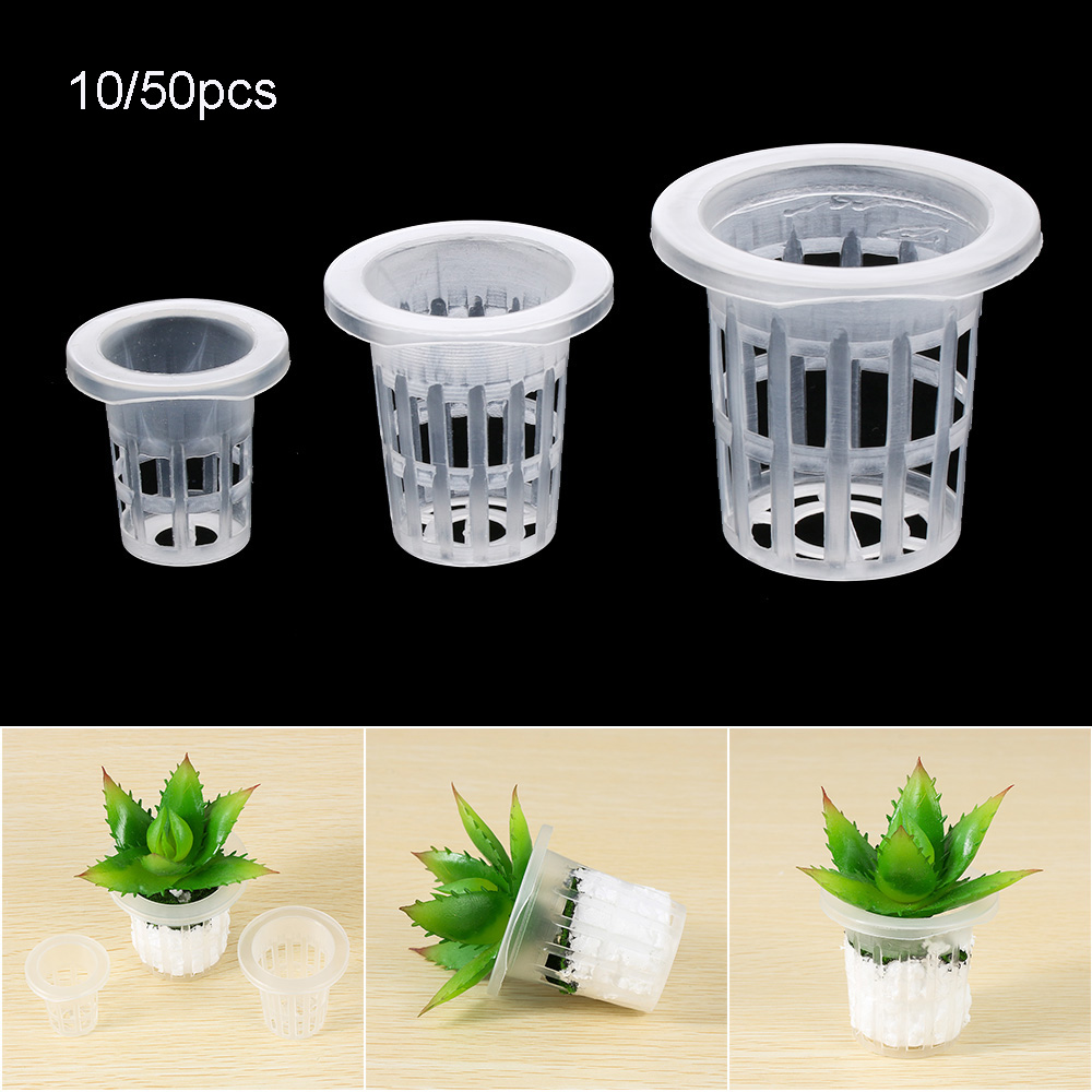 10/50개 정원 용품 식물 재배 수족관 재배용 스펀지 - Aquarium Plant Seeds 리뷰 및 가격