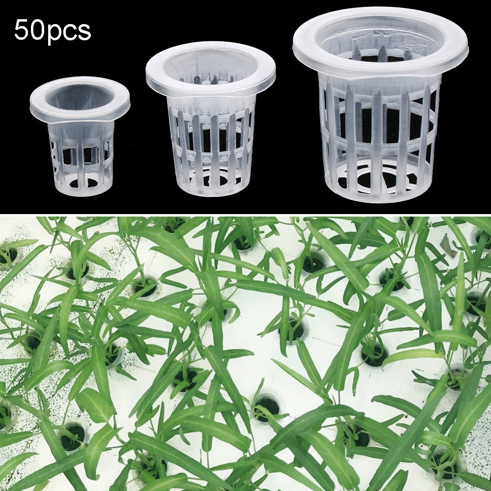 10/50개 정원 용품 식물 재배 수족관 재배용 스펀지 - Aquarium Plant Seeds 리뷰 및 가격