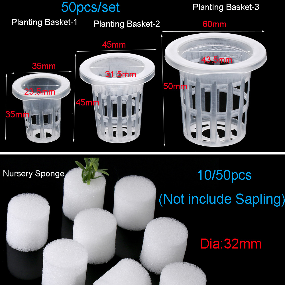 10/50개 정원 용품 식물 재배 수족관 재배용 스펀지 - Aquarium Plant Seeds 리뷰 및 가격