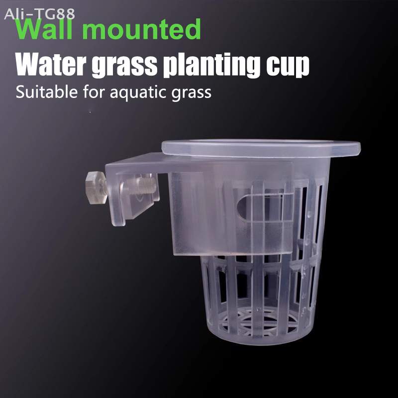 구멍이 있는 걸이식 수족관 식물 홀더, 수생 식물 화분 - Emersed Plants Aquarium 리뷰 및 가격